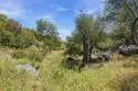 18380 Avenida Caleta thumbnail 45