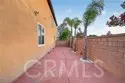 30780 Olympia Rose thumbnail 54