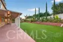 30780 Olympia Rose thumbnail 60