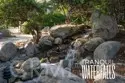 1720 Shady Brook thumbnail 37