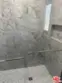 711 Larch Street #10 thumbnail 8