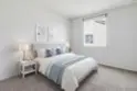 505 Turnstone thumbnail 12