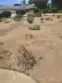 40555 Via Caballos thumbnail 1