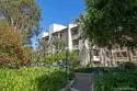 5605 Friars #308 thumbnail 34
