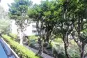 564 N Bellflower Boulevard #218 thumbnail 11