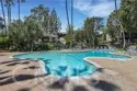 564 N Bellflower Boulevard #218 thumbnail 22