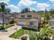 41211 Pine Tree thumbnail 11