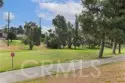6168 Avenue Juan Diaz thumbnail 31