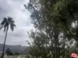 2311 Summertime Lane thumbnail 16