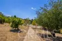 42525 Calle Capistrano thumbnail 54