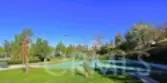 39416 Cardiff Avenue thumbnail 63