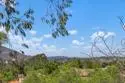 18557 Caminito Pasadero #389 thumbnail 7