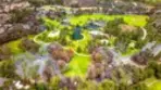8892 Los Coyotes Court #260 thumbnail 28
