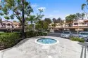 21256 Camelia thumbnail 31