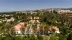 21256 Camelia thumbnail 35