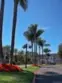 2003 Costa Del Mar Road #692 thumbnail 3