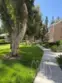 74 Woodleaf thumbnail 21