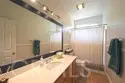26784 Lemon Grass thumbnail 44