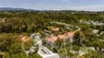21256 Camelia thumbnail 38