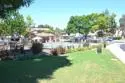 970 Somerset Court #Unit C thumbnail 39