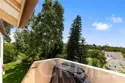 21256 Camelia thumbnail 5
