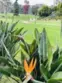 4156 Camino Lita thumbnail 29
