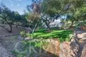 26955 Corte Cristal thumbnail 66