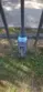 1134 W Blaine #202 thumbnail 17