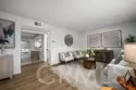 4228 Paseo De Oro thumbnail 7