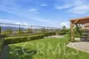 46125 Grace Court thumbnail 52