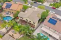26352 Palm Tree thumbnail 69