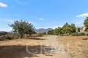 104 Seacountry Lane thumbnail 36