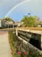 34134 Selva Road #248 thumbnail 4
