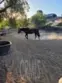 35120 Calle Nopal thumbnail 53