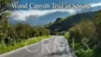 24364 Hilton Way thumbnail 23
