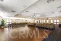 30179 Iron Horse Drive thumbnail 46