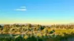 41907 Arbor Glen Drive thumbnail 42