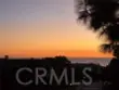 102 Scholz #234 thumbnail 6