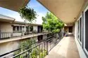 311 Cherry Avenue #2 thumbnail 6