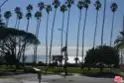 924 5th Street #10 thumbnail 23