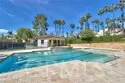 31280 Pescado thumbnail 52