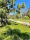 33852 Del Obispo Street #9 thumbnail 52