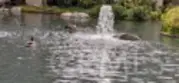 4900 E Chapman Avenue #90 thumbnail 13