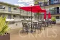 5334 Lindley Avenue #337 thumbnail 9
