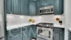 70 Cinnamon Teal thumbnail 11