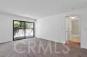 19544 Vasile Circle thumbnail 22