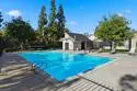 7061 Appian Drive #B thumbnail 22