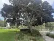 715 Eastshore Terrace #41 thumbnail 27