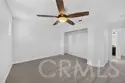 24046 Crowned Partridge thumbnail 50
