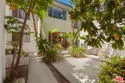 827 Bay Street #5 thumbnail 3
